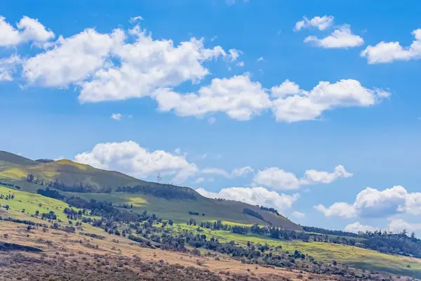 Rolling Hills With Breathtaking Island Views