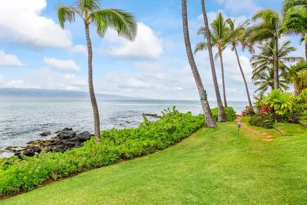 Lush Lawn Overlooking The Pacific Ocean