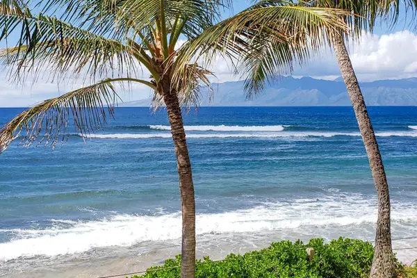 Steps From Your Oceanfront Paradise
