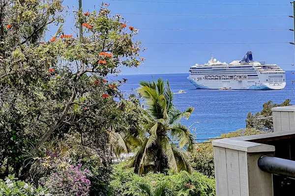 Ocean Views With Passing Cruise Ships