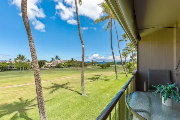 Palm-Framed Garden Views