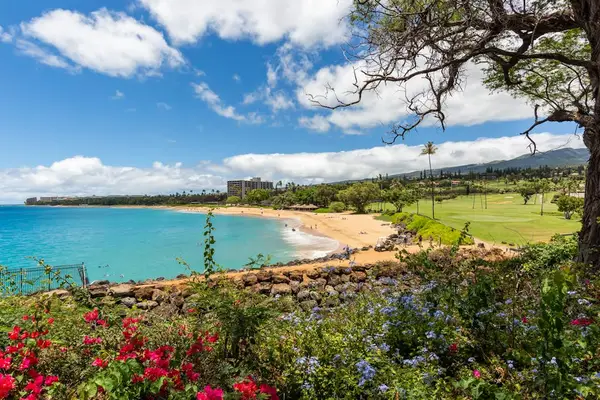 Breathtaking Oceanfront Views Nearby