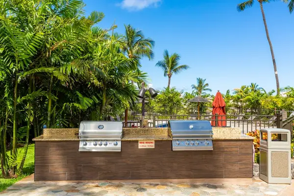 Outdoor Grilling And Gathering Space