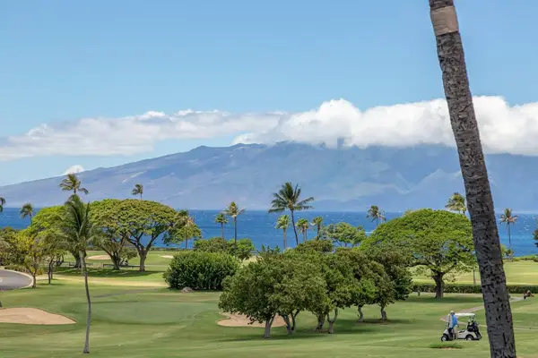 Lush Tropical Views Beyond Your Door