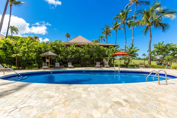 Sparkling Pool Surrounded By Palms