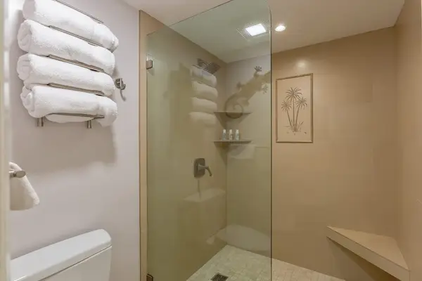 Walk-In Shower With Resort Comfort