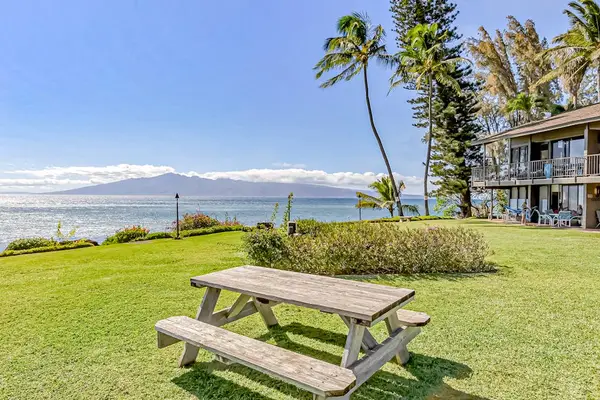 Picnic Spot With Sweeping Ocean Views