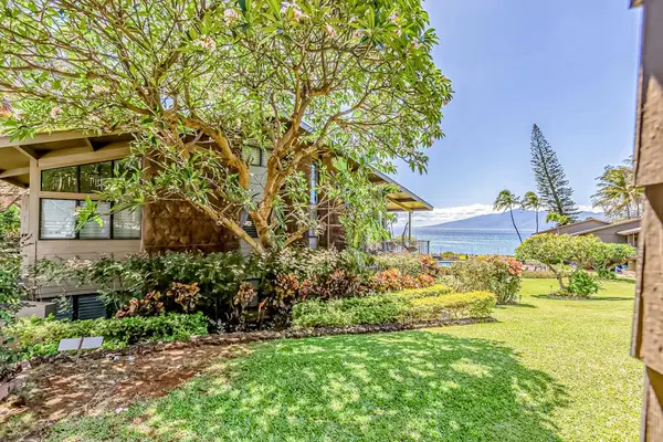 Lush Tropical Garden Steps From The Shore