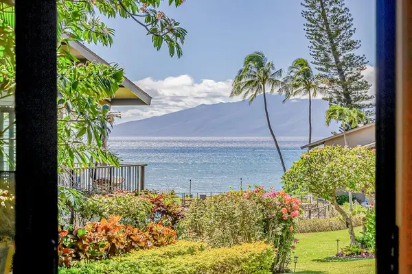 Lush Ocean Views Framed By Tropical Greenery