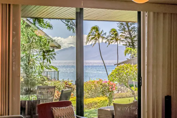 Patio Views Framed By Tropical Paradise