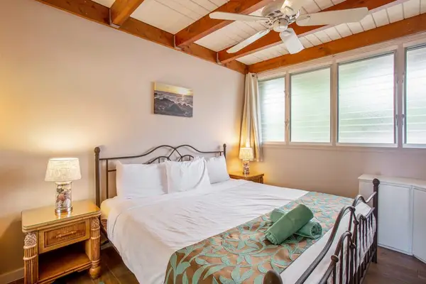 Master bedroom with king bed, flat screen tv and lots of windows.