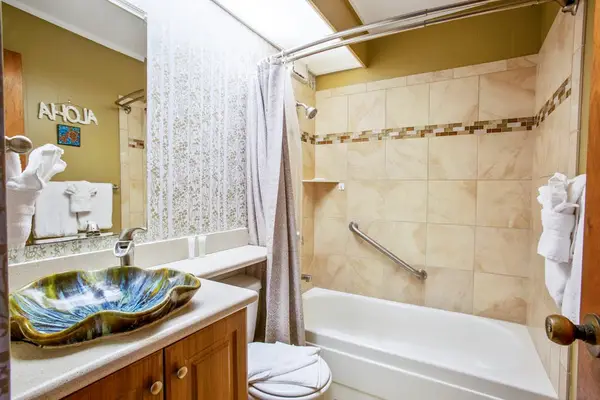 Master bathroom with tub/shower combo.