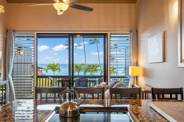 Kitchen with views of the tropical paradise.