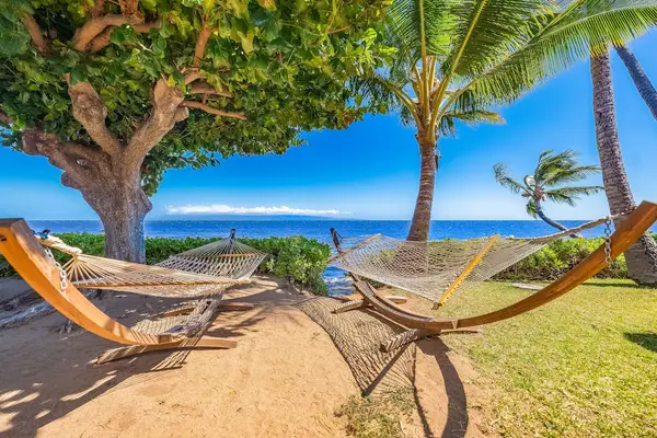 Hammock rests beneath palms overlooking the bright island shoreline nearby