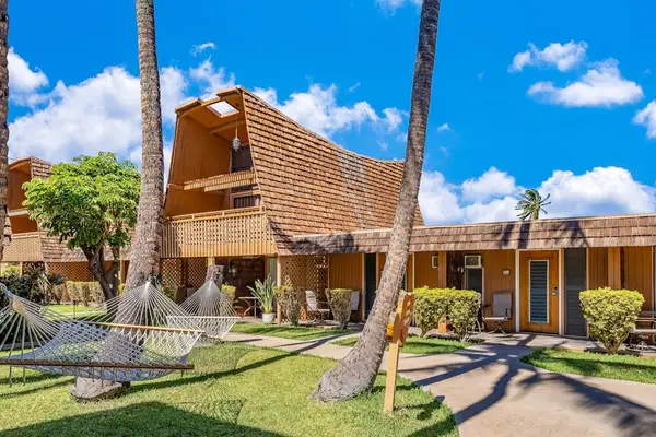 Island cottage exterior stands among palms beneath bright tropical skies