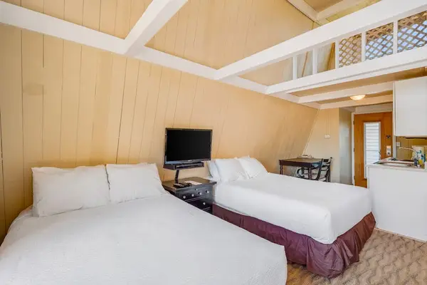 Studio layout pairs comfortable beds with island-inspired wood interiors