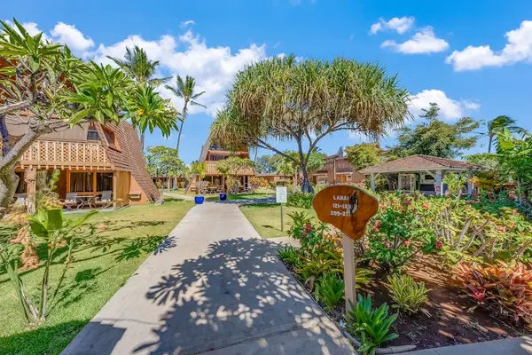 Palm trees shade the grounds surrounding comfortable island accommodation nearby