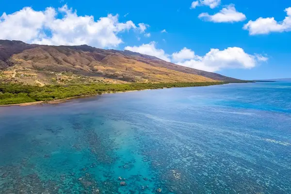 Soak in relaxing island vibes with lush greenery and refreshing ocean breezes nearby