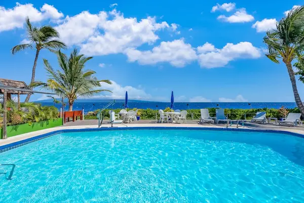 Shared swimming pool overlooks palms with peaceful island scenery nearby