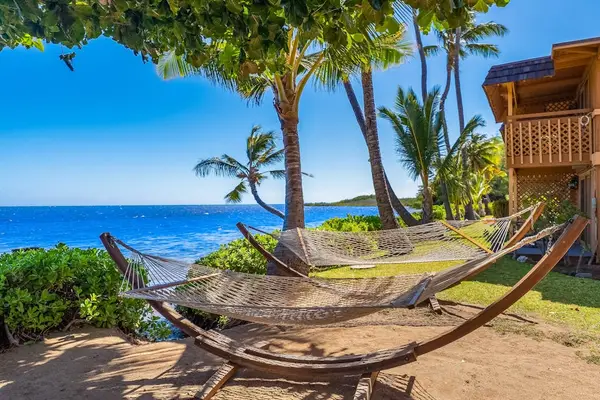 Island resort grounds surround the cottage with palms and sunny lawns