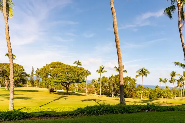 Scenic Golf Course & Tropical Grounds Views