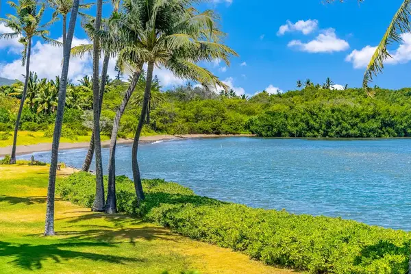 Scenic coastal panorama blends coconut trees vibrant landscapes and refreshing ocean breezes beautifully