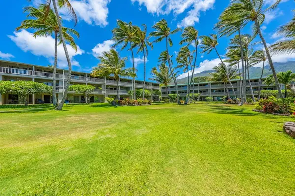 Wake beside picturesque seaside scenery embraced by towering coconut trees and peaceful surroundings