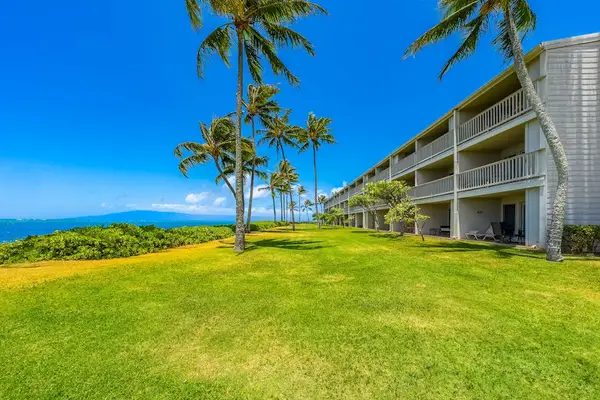 Relax overlooking pristine shoreline surrounded by swaying coconut trees and tropical scenery together