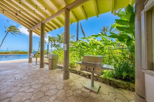 Sparkling ocean horizons surround coconut trees inviting relaxing days beneath sunny island skies