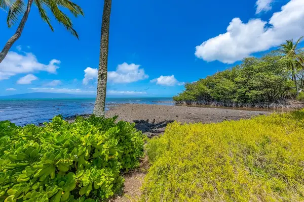 Enjoy panoramic shoreline scenery embraced by majestic coconut trees and peaceful coastal surroundings