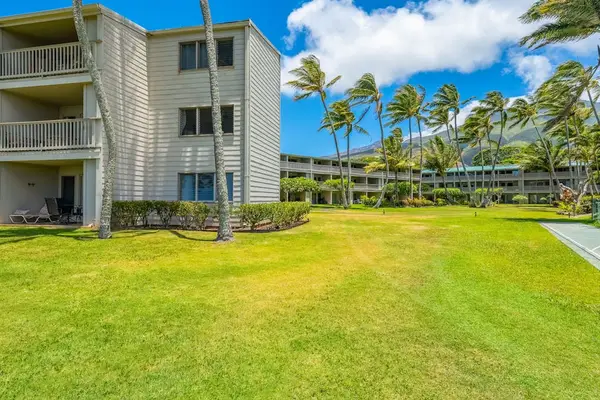 Tropical paradise showcases stunning coastline framed by beautiful coconut trees and open skies