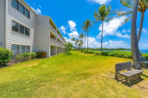 Refresh your senses with captivating ocean views surrounded by flourishing coconut trees everywhere