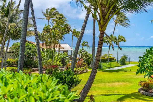 Coastal beauty unfolds beyond swaying coconut trees creating unforgettable vacation memories together always