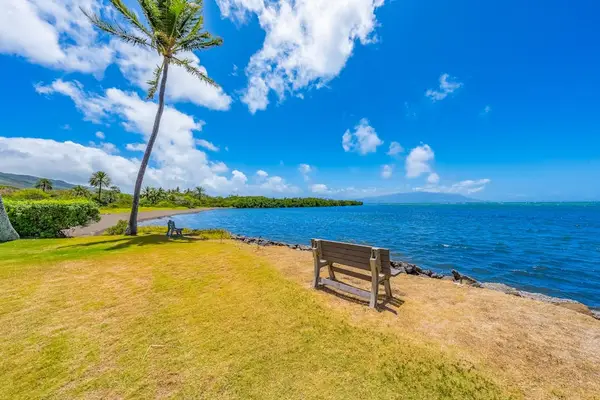 Tropical resort scenery showcases beautiful island surroundings and relaxing guest spaces