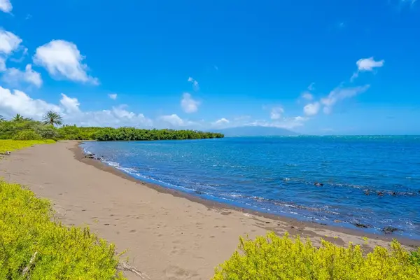 Endless blue waters meet graceful coconut trees creating unforgettable coastal moments every day