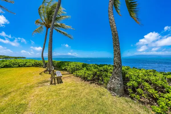 Gentle sea breezes flow through coconut trees creating memorable coastal retreats filled serenity