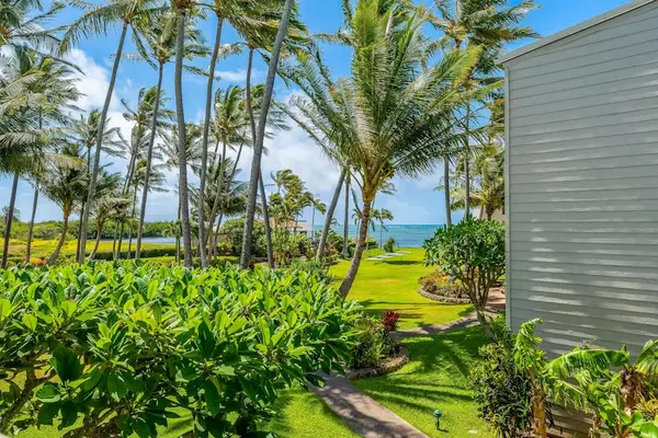 Experience refreshing ocean breezes beneath towering coconut trees with spectacular seaside landscapes daily