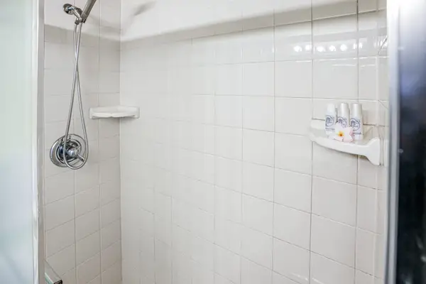 Walk-In Shower With Fresh Finishes