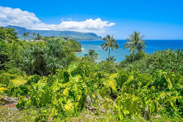 Lush Gardens With Breathtaking Ocean Views