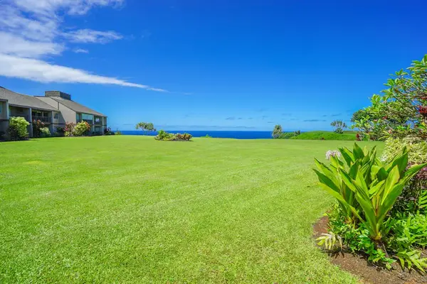 Tropical greenery surrounds a serene retreat