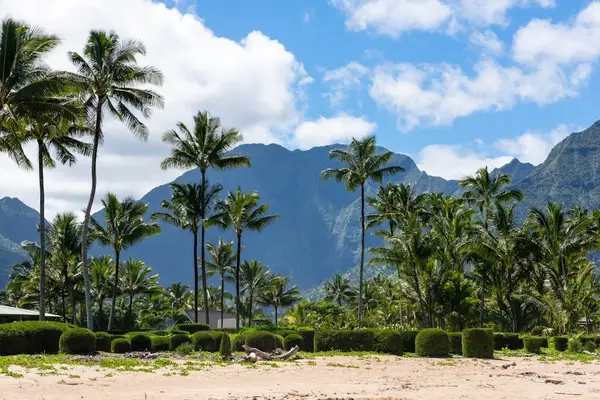 Majestic Mountain And Ocean Backdrop