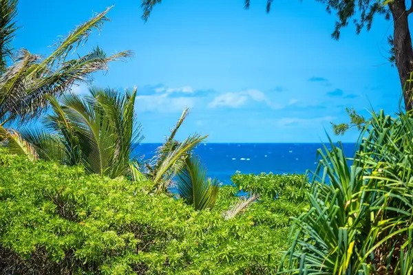 Hidden Tropical Ocean Vista