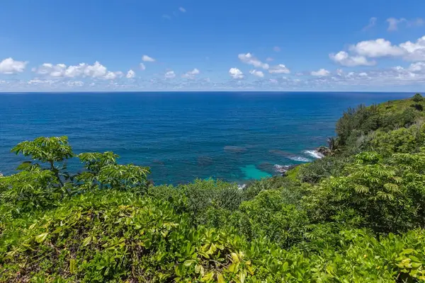 Breathtaking Clifftop Ocean Panorama