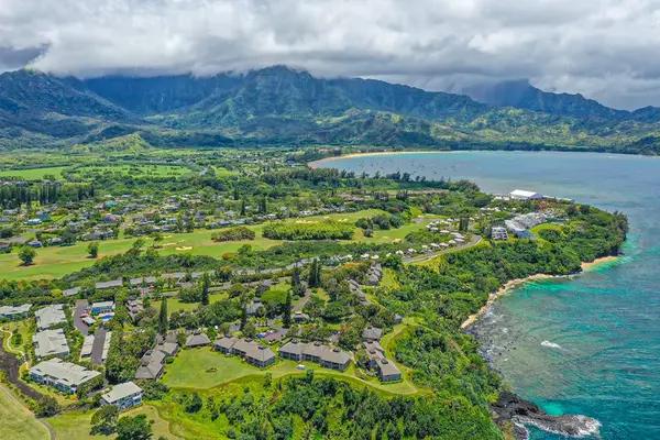 Endless Emerald Coastline Views