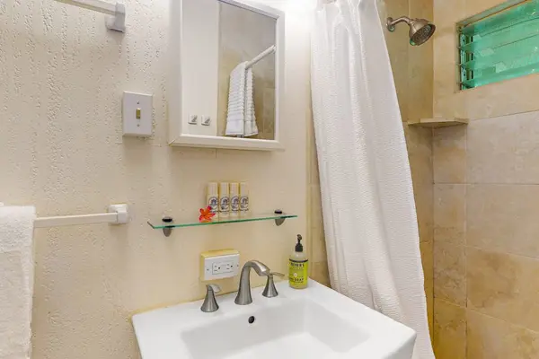 Full bathroom with a walk-in shower and fresh towels.