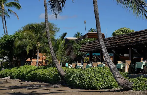 Watch daylight fade across tropical island landscapes filled with serene natural beauty