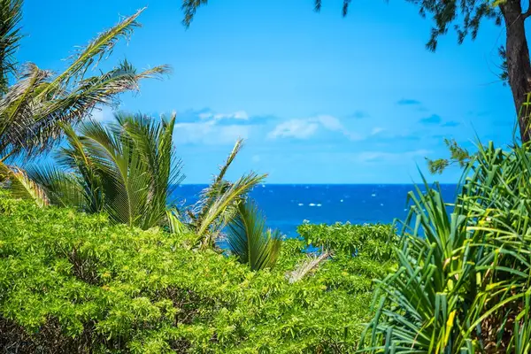 Lush oceanfront lawn framed by tropical gardens