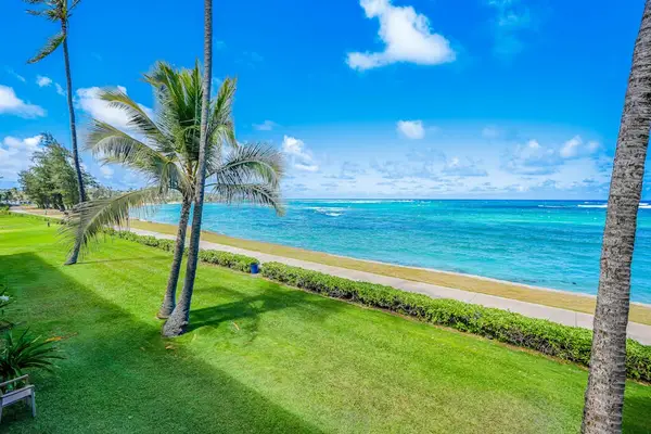 Serene Oceanfront Lawn With Palm Trees
