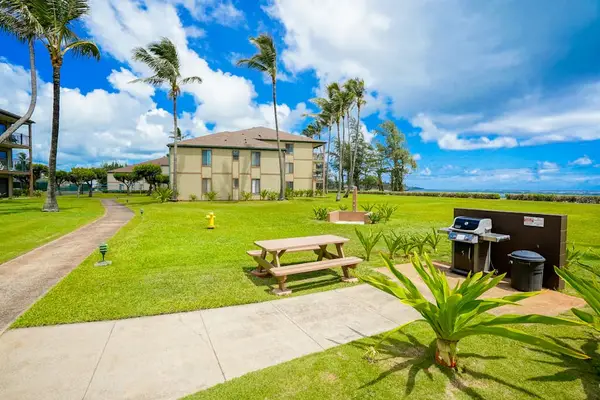 Relaxing Oceanfront Lawn With Picnic Seating