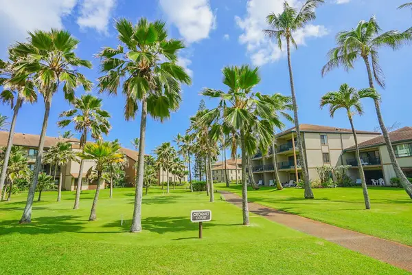 Palm-Lined Courtyard With Island Charm